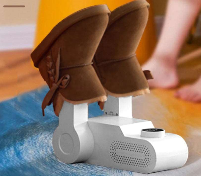 Smart Shoe Dryer