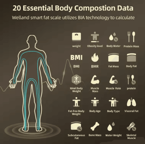 Smart Body Fat Scale with Body Composition Analysis - Digital Weight & Bioimpedance Measurement