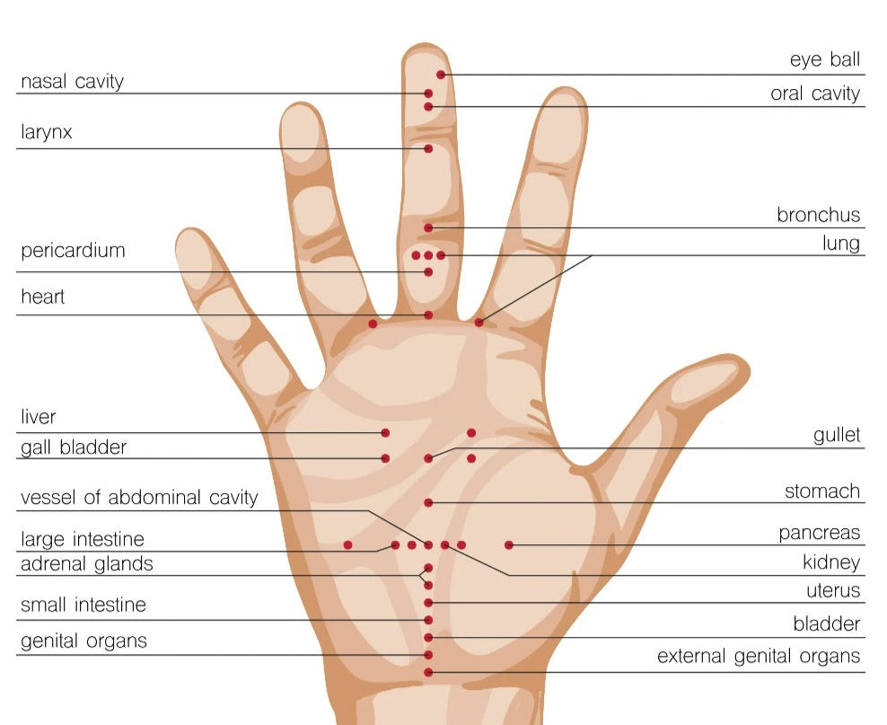 Arthritis Hand Massager Ezdore